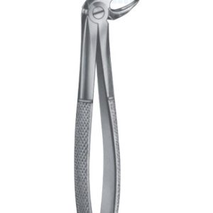 Extracting Forceps - English Pattern