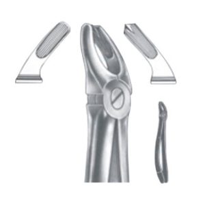 Extracting Forceps - English Pattern