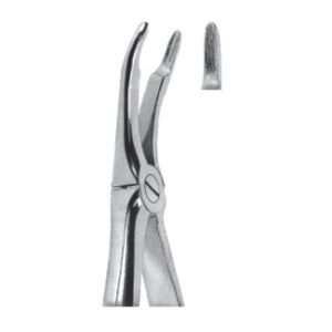 Extracting Forceps For Children - English Pattern