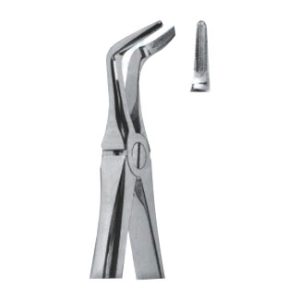 Extracting Forceps For Children - English Pattern