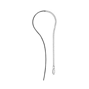 Filiform Bougie