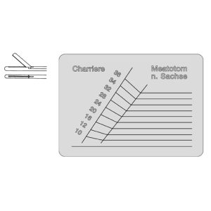 Gauge
