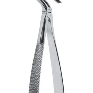 Extracting Forceps - English Pattern