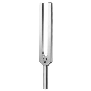 Tuning Fork