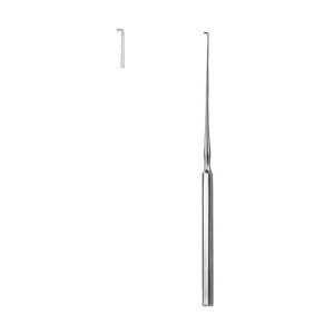 Ear Hooklet