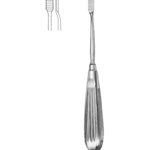 Nasal Rasp