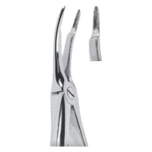 Extracting Forceps - English Pattern