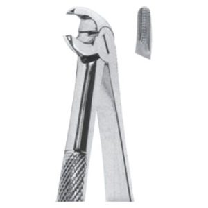 Extracting Forceps - Mead Pattern